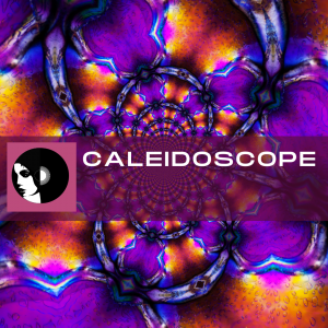 Not A Fox records Caleidoscope Spotify playlist